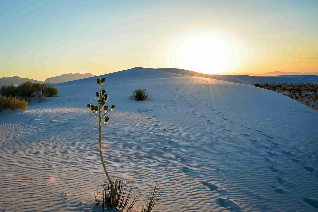 White Sands National Park