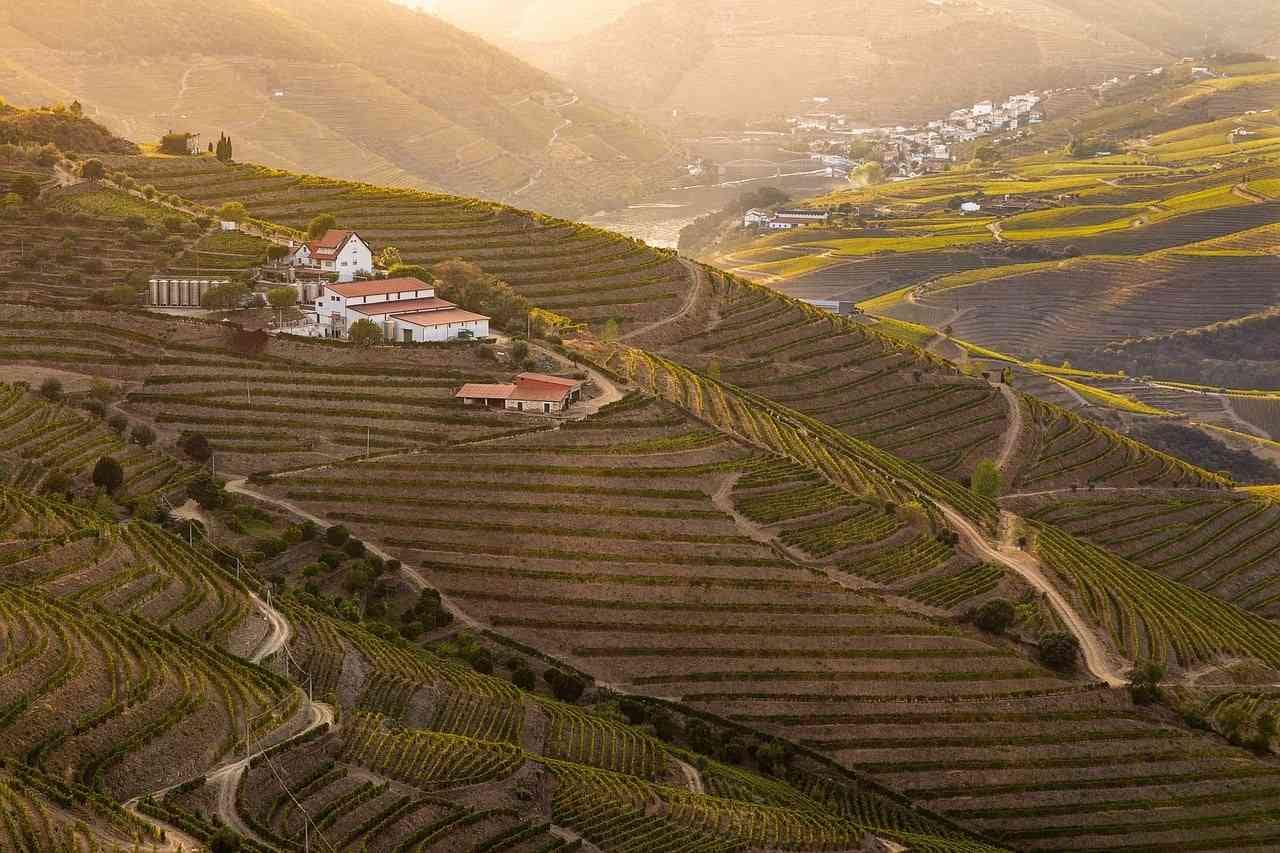 Douro Valley